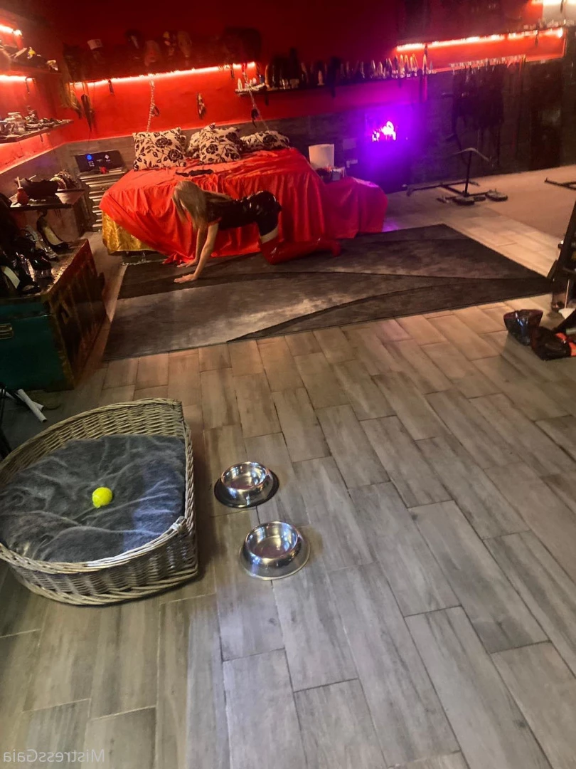 Mistress Gaia [ gaiapadrona ] Onlyfans leaked photo 10076421 on Hotleaks.tv