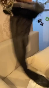 Mistress Gaia [ gaiapadrona ] Onlyfans leaked video 10412463 on Hotleaks.tv