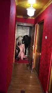 Mistress Gaia [ gaiapadrona ] Onlyfans leaked video 10412844 on Hotleaks.tv