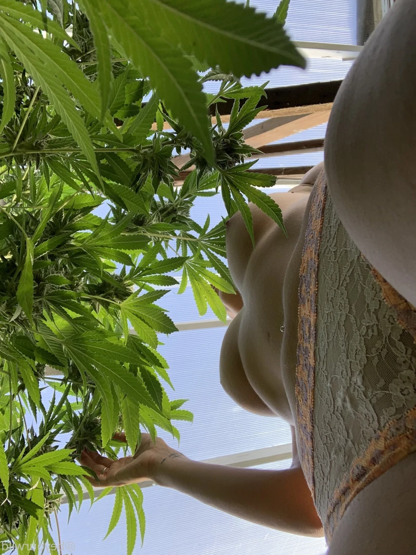 Get wild 😜 [ getwilder ] Onlyfans leaked photo 10224732 on Hotleaks.tv