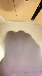 13702731