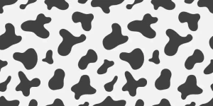 GirlbotDiv dot com✨ [ girlbotdiv ] Onlyfans leaked video 18211897 on Hotleaks.tv