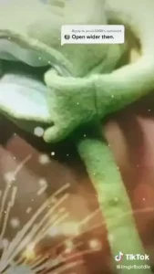 GirlbotDiv dot com✨ [ girlbotdiv ] Onlyfans leaked video 18212211 on Hotleaks.tv