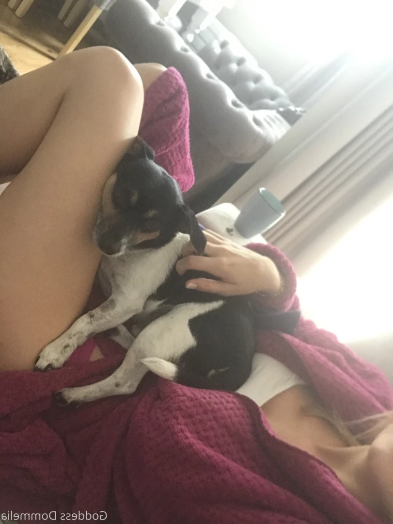 DOMMELIA [ goddessdommelia ] Onlyfans leaked photo 8783663 on Hotleaks.tv