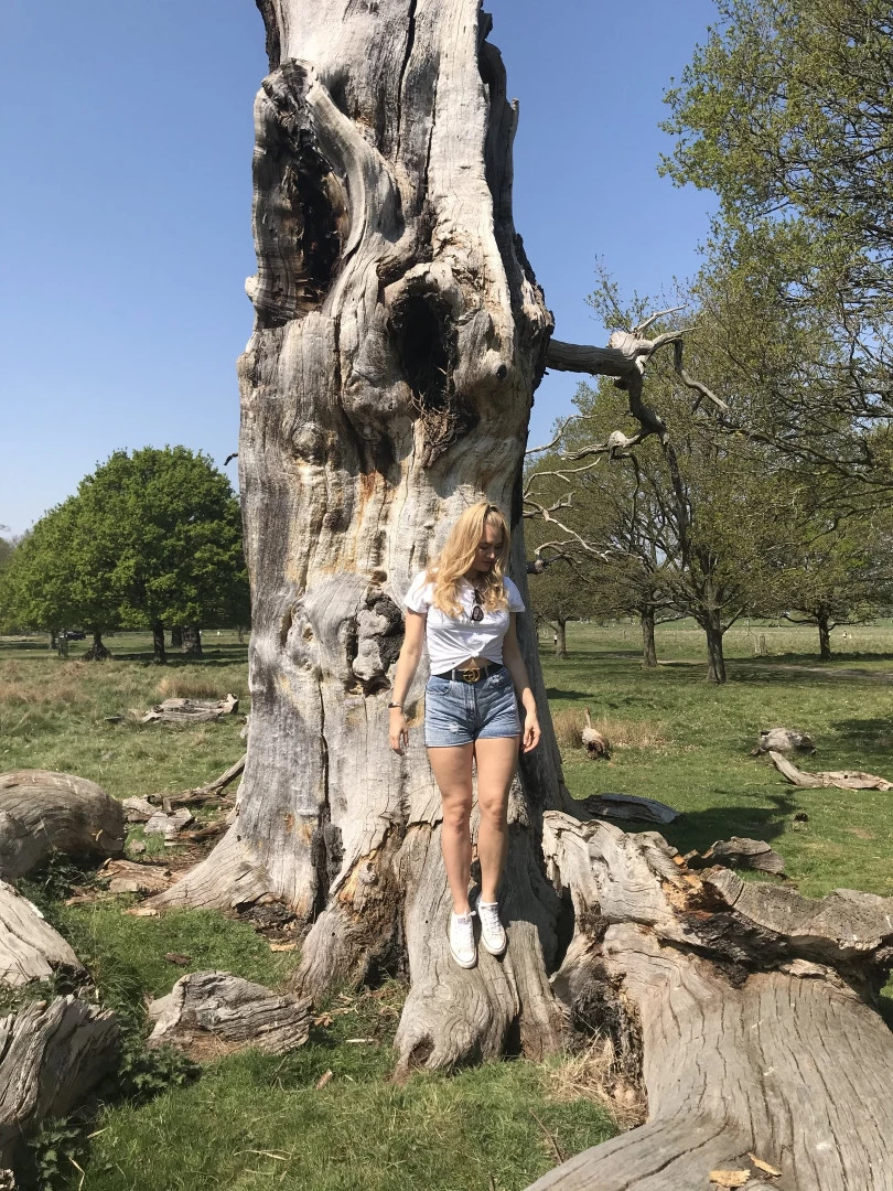 DOMMELIA [ goddessdommelia ] Onlyfans leaked photo 8808695 on Hotleaks.tv