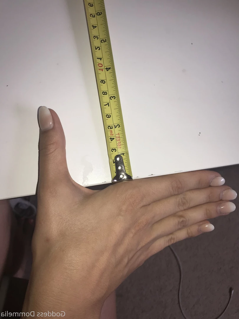 DOMMELIA [ goddessdommelia ] Onlyfans leaked photo 8822310 on Hotleaks.tv