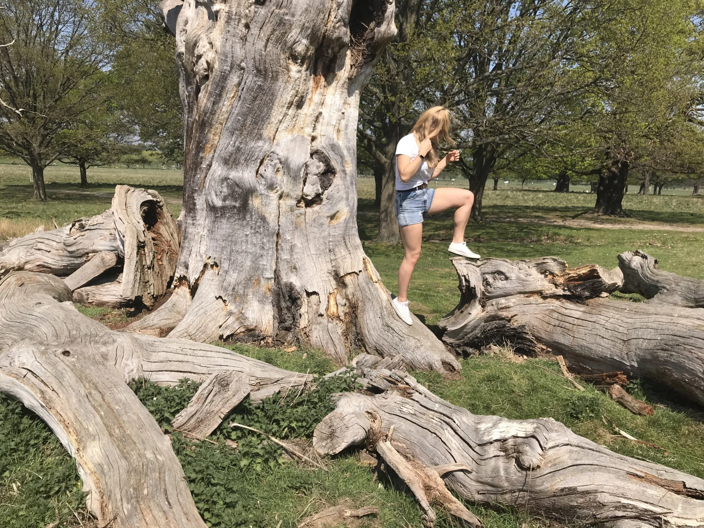 DOMMELIA [ goddessdommelia ] Onlyfans leaked photo 8831393 on Hotleaks.tv