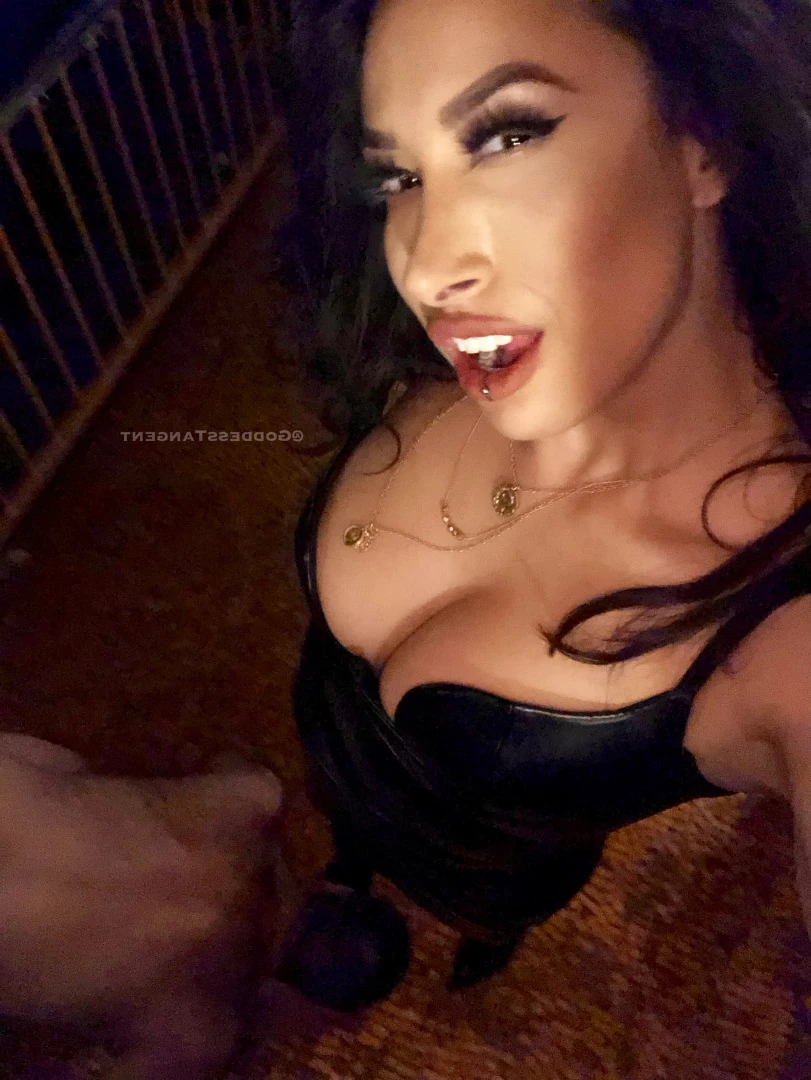 Mistress Tangent [ goddesstangent ] Onlyfans leaked photo 8718936 on Hotleaks.tv