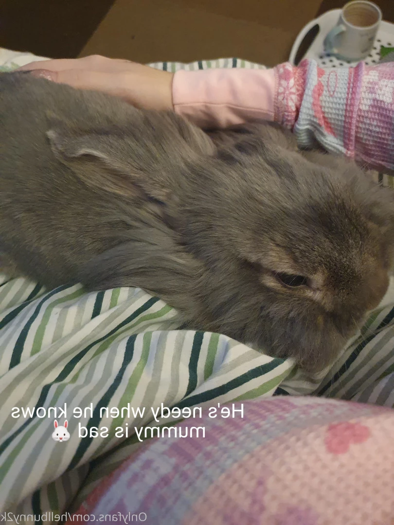 Bunny 🐰 $3 SALE + free D rate [ hellbunny2k ] Onlyfans leaked photo 10146367 on Hotleaks.tv