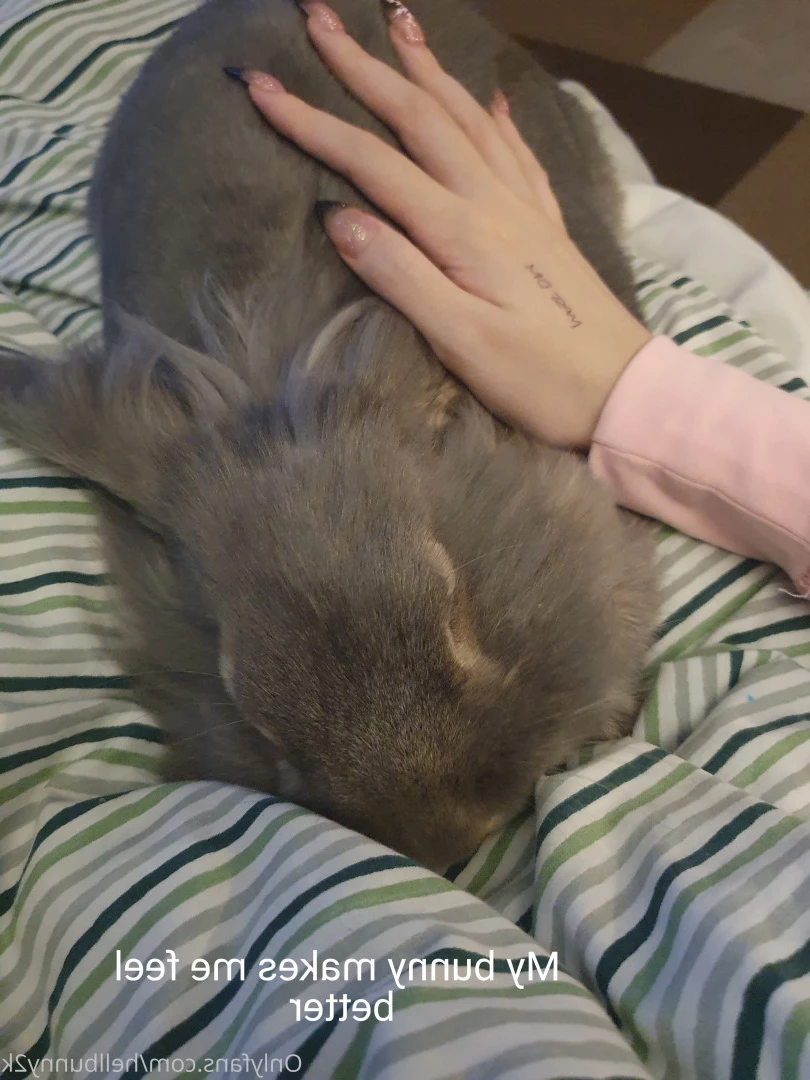 Bunny 🐰 $3 SALE + free D rate [ hellbunny2k ] Onlyfans leaked photo 10146754 on Hotleaks.tv