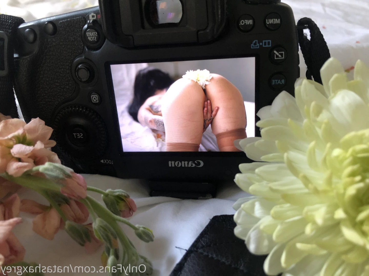 Hellcat Nat *ฅ^•ﻌ•^ฅ* [ hellcat_nat ] Onlyfans leaked photo 8955395 on Hotleaks.tv
