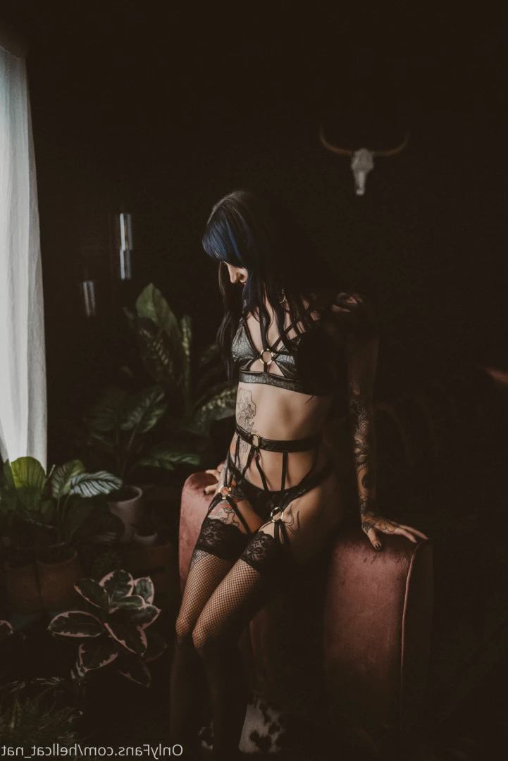 Hellcat Nat *ฅ^•ﻌ•^ฅ* [ hellcat_nat ] Onlyfans leaked photo 8966371 on Hotleaks.tv