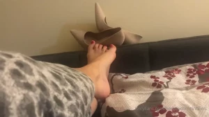 18207559