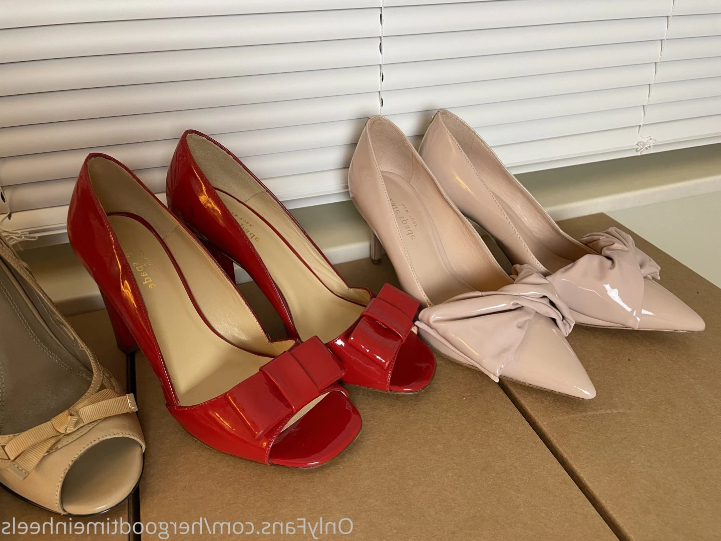 hergoodtimeinheels Onlyfans leaked photo 8778333 on Hotleaks.tv
