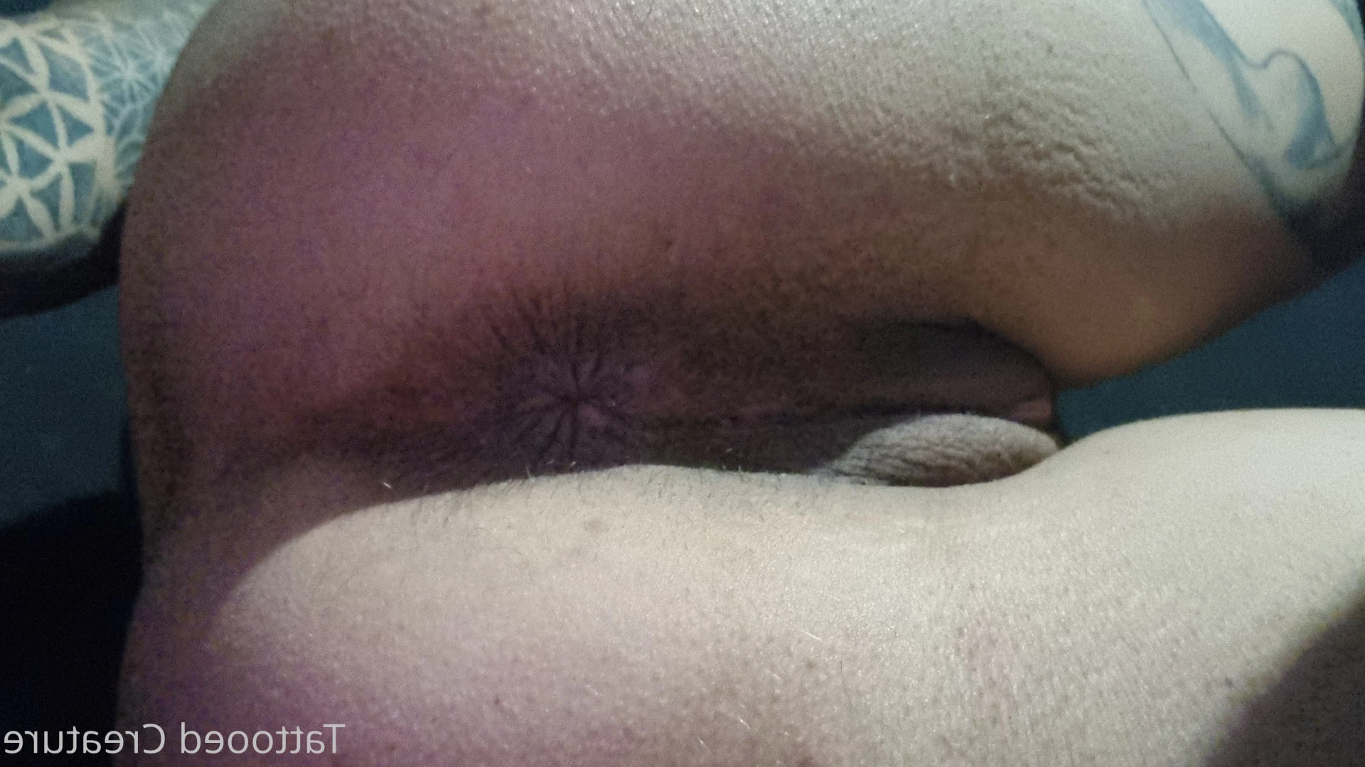 hipnotika_bodymod Onlyfans leaked photo 8701729 on Hotleaks.tv