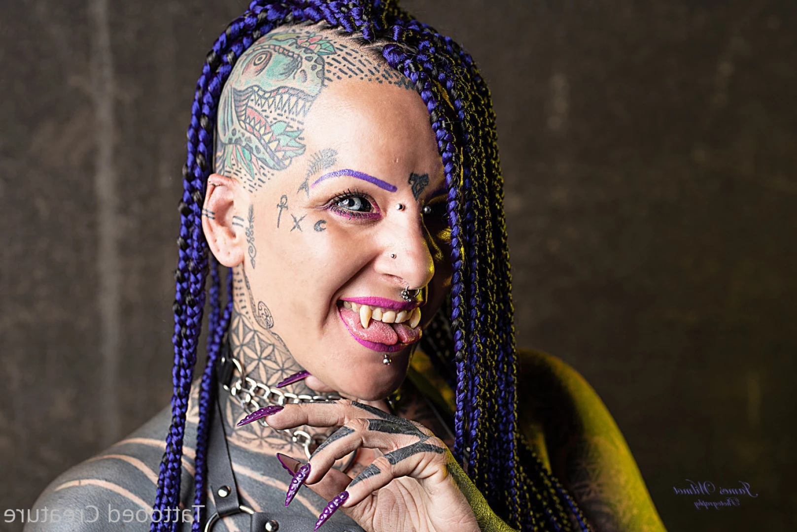 hipnotika_bodymod Onlyfans leaked photo 8715816 on Hotleaks.tv