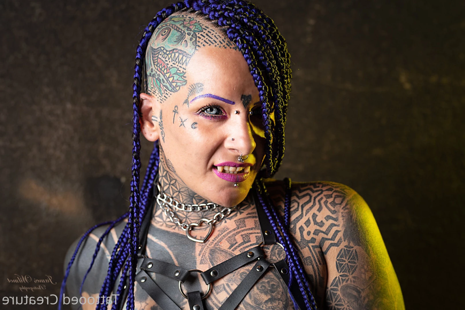 hipnotika_bodymod Onlyfans leaked photo 8722376 on Hotleaks.tv