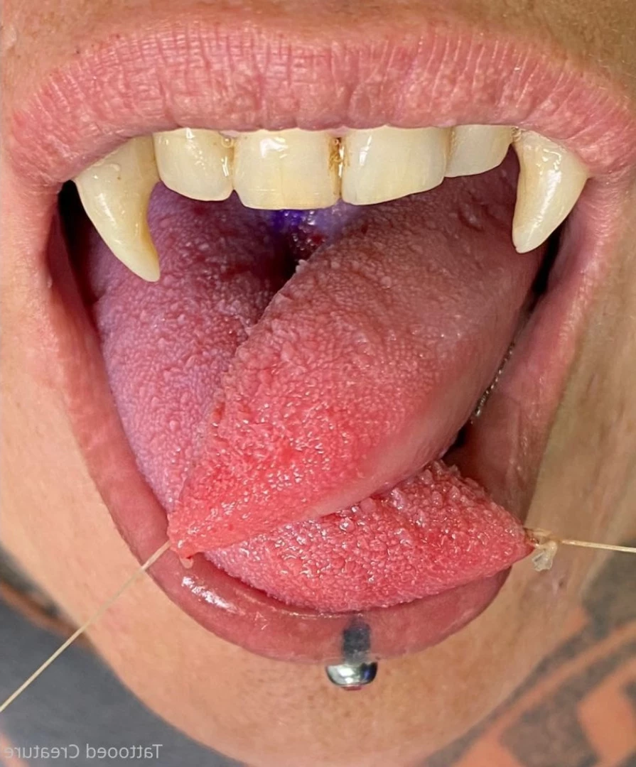hipnotika_bodymod Onlyfans leaked photo 8726781 on Hotleaks.tv