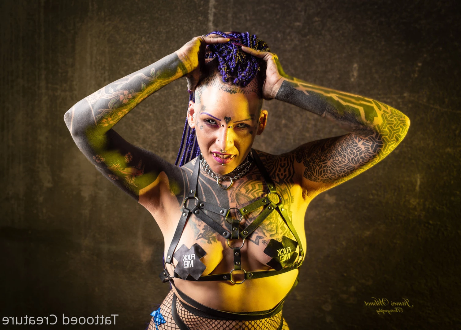 hipnotika_bodymod Onlyfans leaked photo 8734282 on Hotleaks.tv