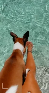 Queen Tots [ hottotrottots ] Onlyfans leaked video 10398683 on Hotleaks.tv