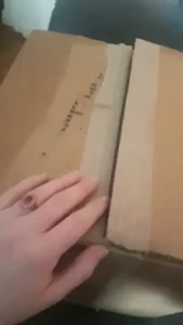 Carly Rae [ houseofrae ] Onlyfans leaked video 18205614 on Hotleaks.tv