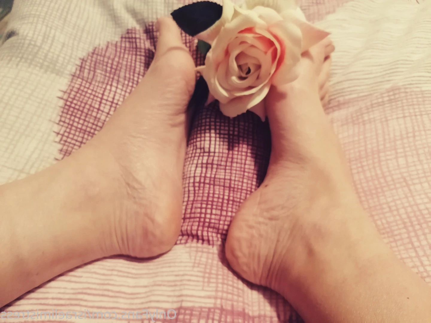 Jardena מיסטרס [ israelimistress ] Onlyfans leaked photo 8870505 on Hotleaks.tv