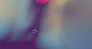 18202321
