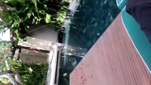 JESSIE LEE PIERCE [ jessiemelb ] Onlyfans leaked video 10383654 on Hotleaks.tv