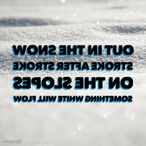 9894427