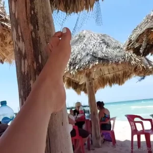18198541