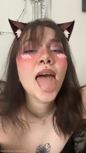 16047813