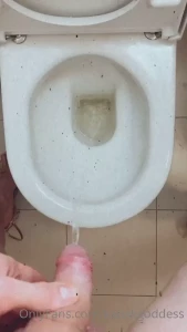 10375203