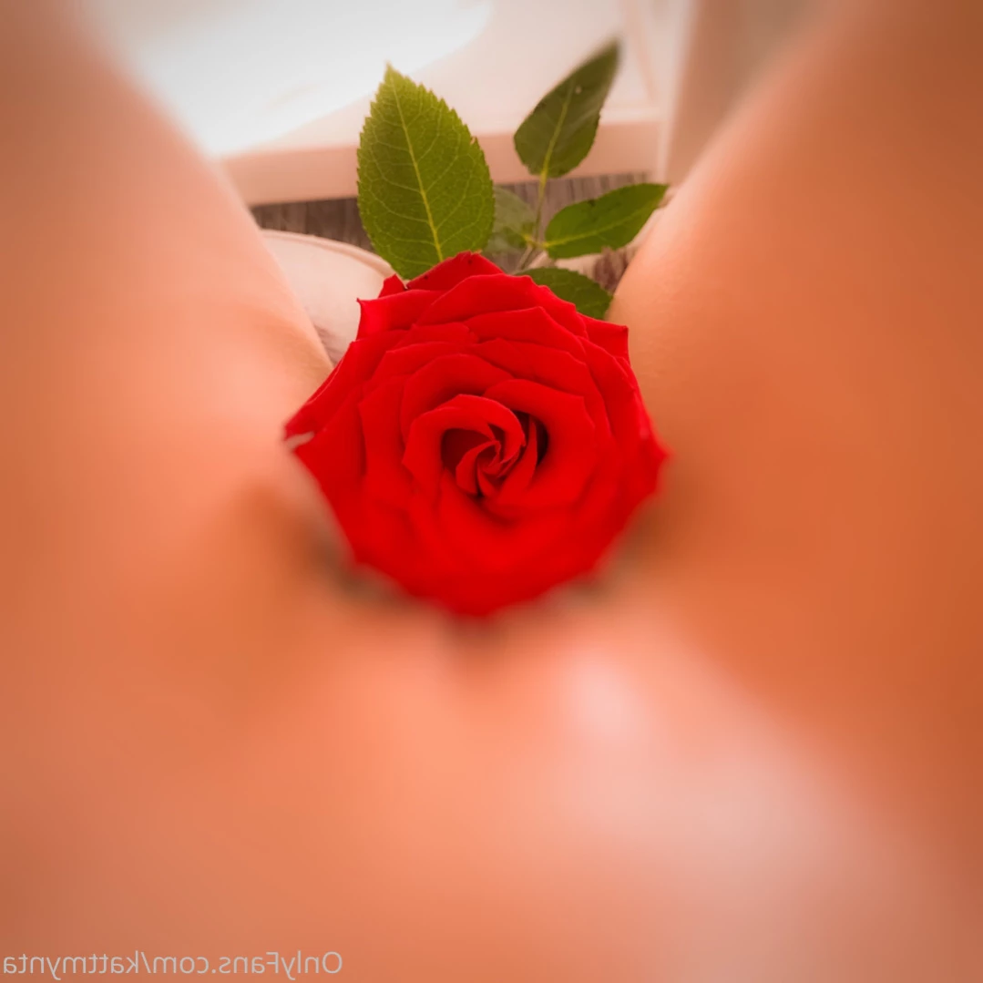 kattmynta Onlyfans leaked photo 11561394 on Hotleaks.tv