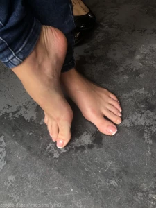 16308564