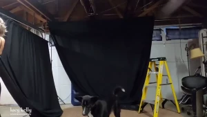 Lacy Kelly [ lacykelly ] Onlyfans leaked video 10365300 on Hotleaks.tv