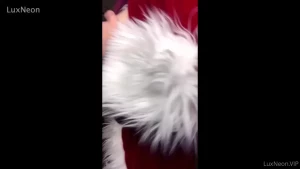 Busty Petite Lux [ luxneon ] Onlyfans leaked video 9545901 on Hotleaks.tv