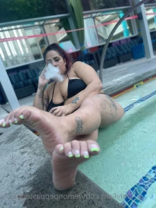15508846