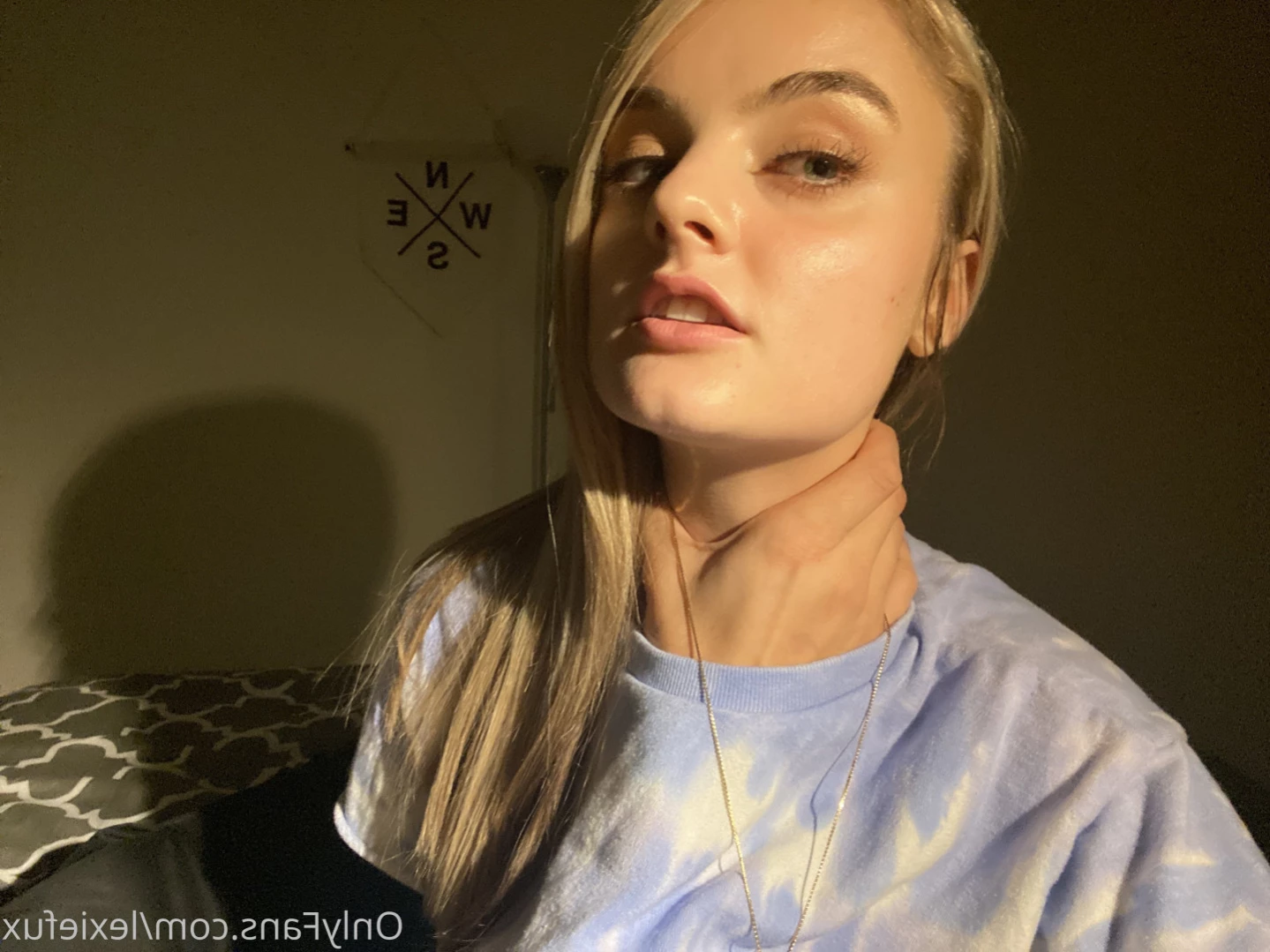 lex(@_@)/ [ lexiefux ] Onlyfans leaked photo 11568751 on Hotleaks.tv