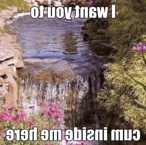 8282671