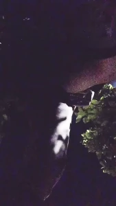 https://onlyfans.com/liquidfirexxx [ liquidfirexxx ] Onlyfans leaked video 10319068 on Hotleaks.tv