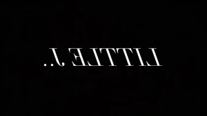 8632291