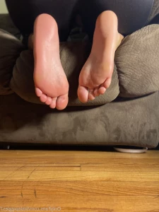 8561529