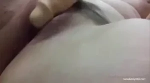 10291589