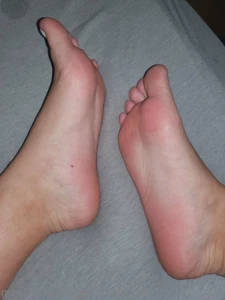 11547415
