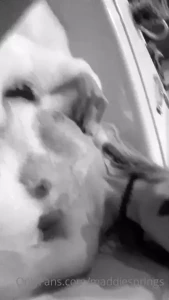 Maddie Springs [ maddiesprings ] Onlyfans leaked video 1638162 on Hotleaks.tv