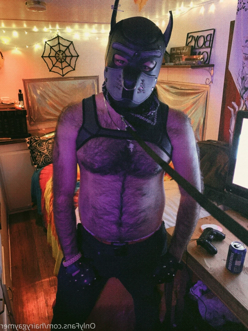 Major Riot (Hairy Gaymer) [ majorriot ] Onlyfans leaked photo 11542896 on Hotleaks.tv