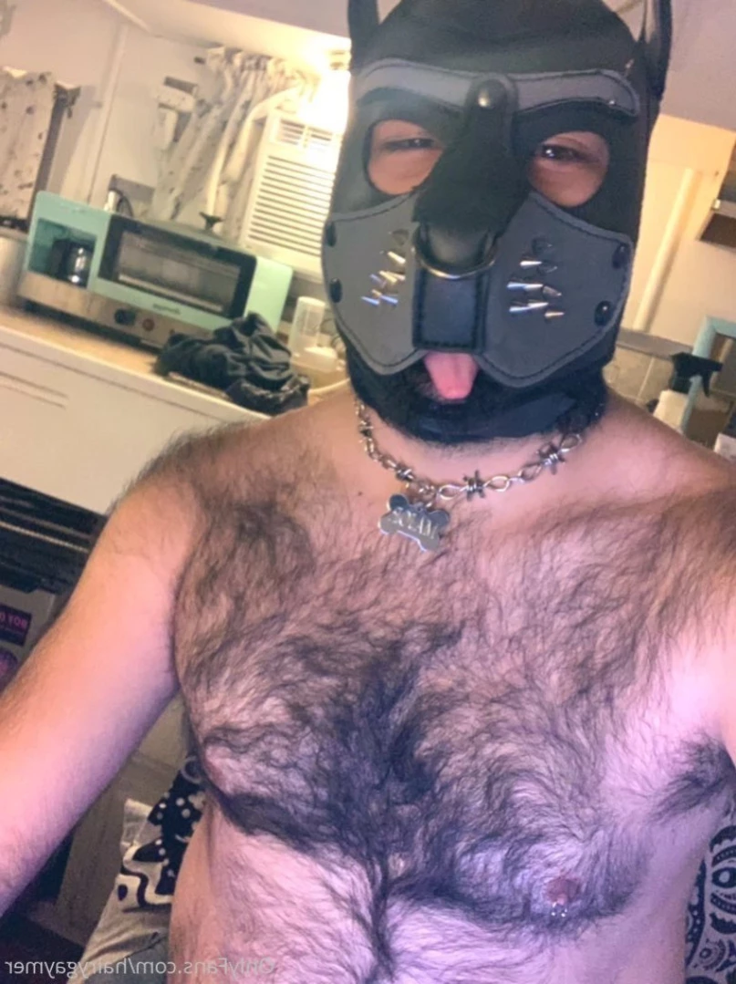 Major Riot (Hairy Gaymer) [ majorriot ] Onlyfans leaked photo 11543078 on Hotleaks.tv