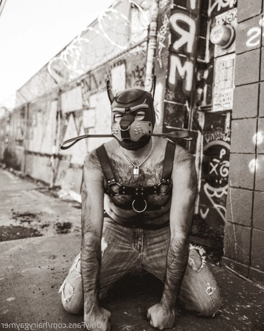 Major Riot (Hairy Gaymer) [ majorriot ] Onlyfans leaked photo 11821473 on Hotleaks.tv