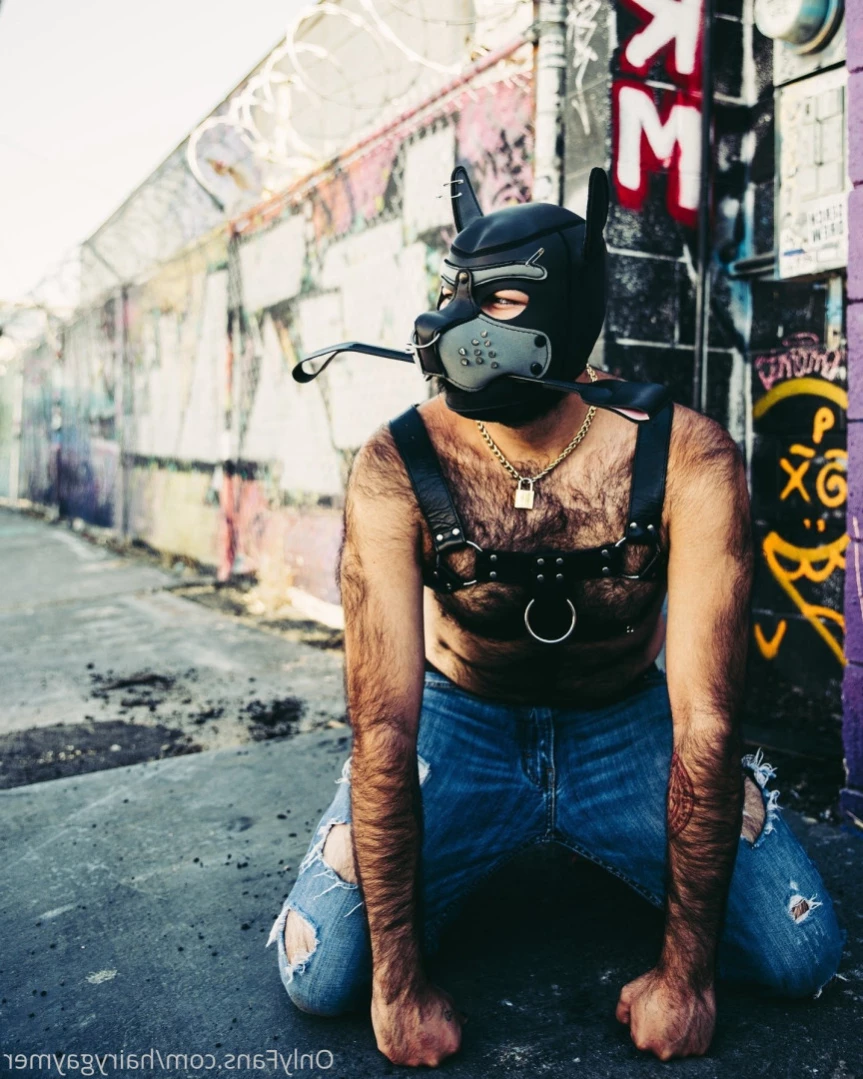 Major Riot (Hairy Gaymer) [ majorriot ] Onlyfans leaked photo 14532094 on Hotleaks.tv