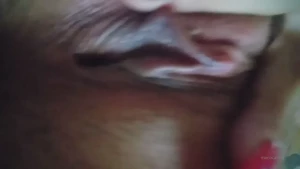 10271729